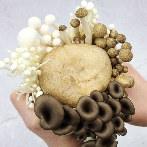 남도미향,전골용 모둠버섯 5종 세트 1kg (새송이/느타리/만가닥/팽이버섯)